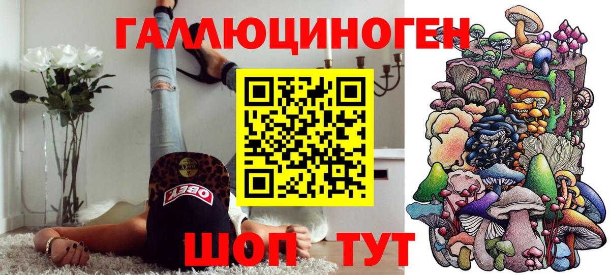 Марихуана  Камышлов  Вход с VPN  NBOMe  МЕФ кристаллы  MDMA  Гашиш  КОКАИН  Конопля  Экстази 
