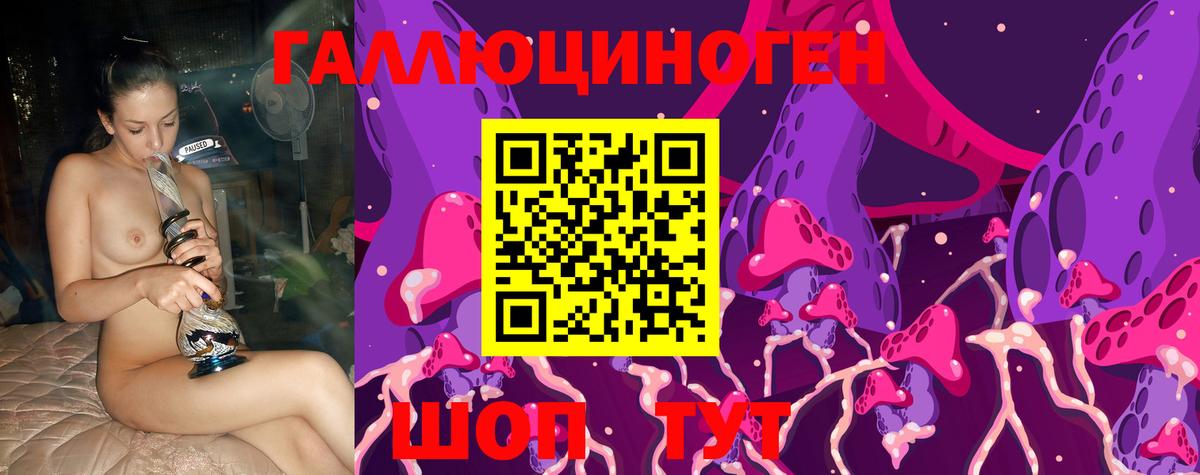 Камышлов  Псилоцибиновые грибы MAGIC MUSHROOMS  Вход с VPN 