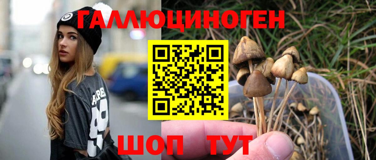 Псилоцибиновые грибы ЛСД Камышлов